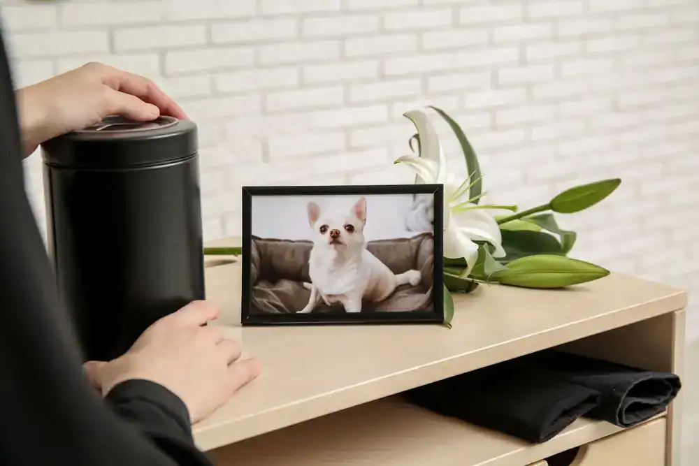 Urn on a shelf beside a framed photo of a white dog and a bouquet of lilies in a memorial display.